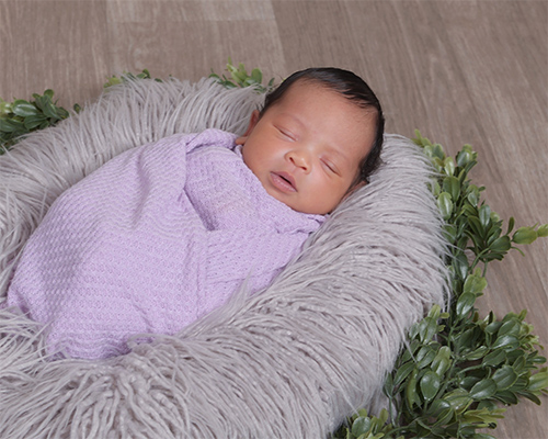November Baby of the Month