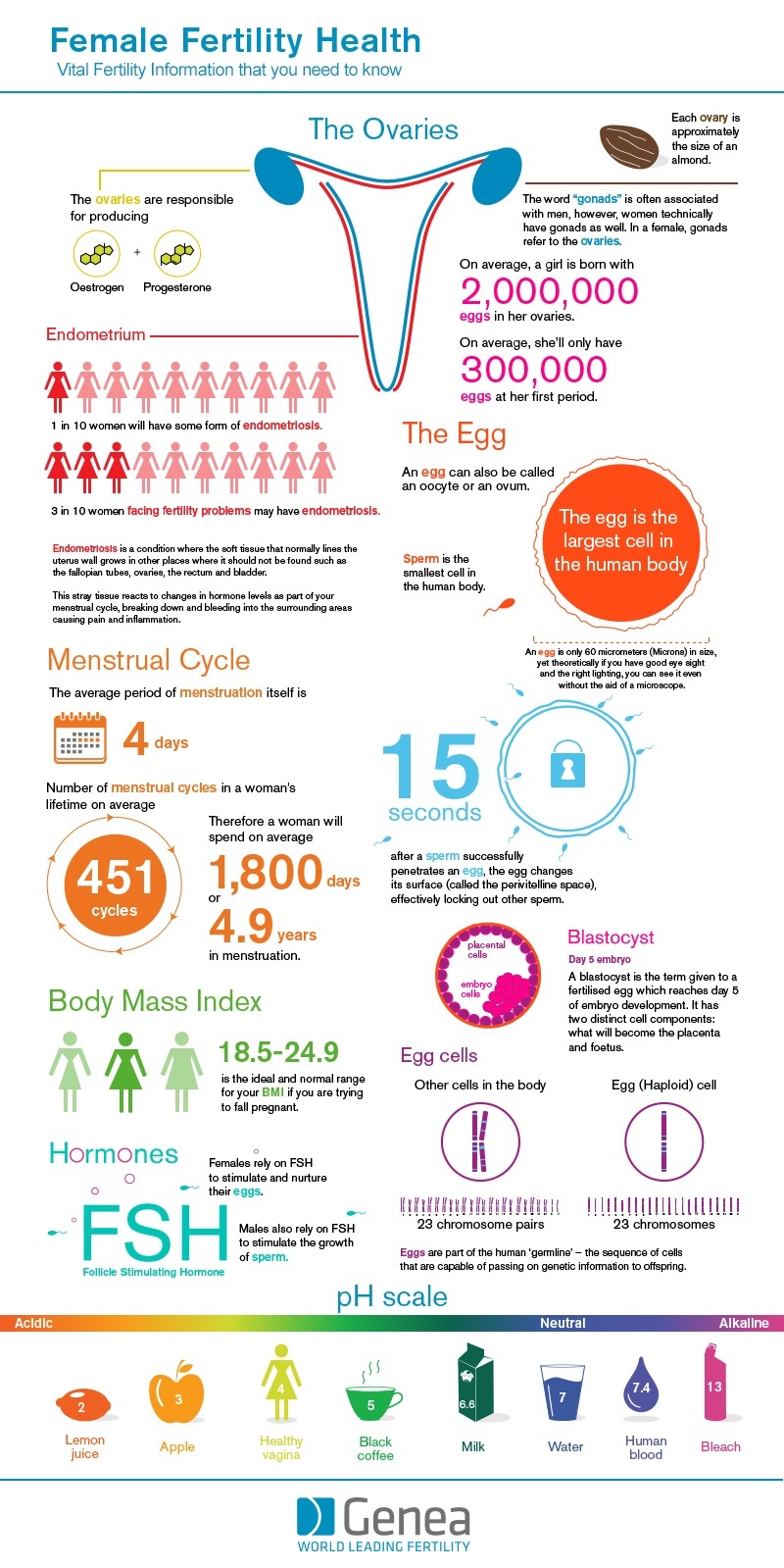 ReproMed Fertility Center